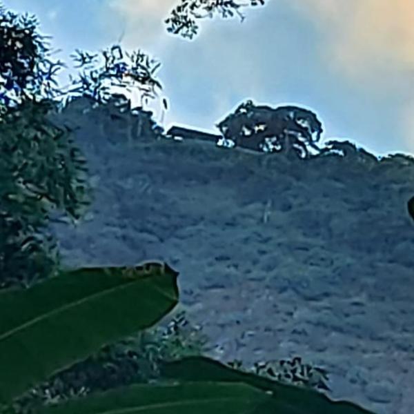Camping São Conrado com cachoeira exclusiva, perto da praia e da Pedra Bonita