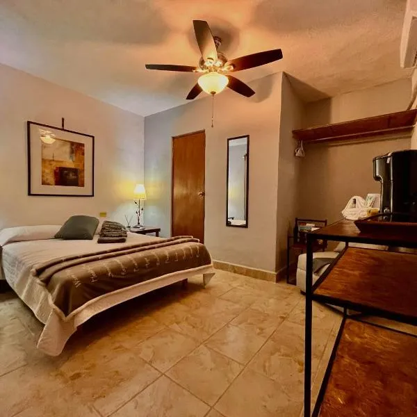 Hotel 305, ξενοδοχείο σε Parras de la Fuente