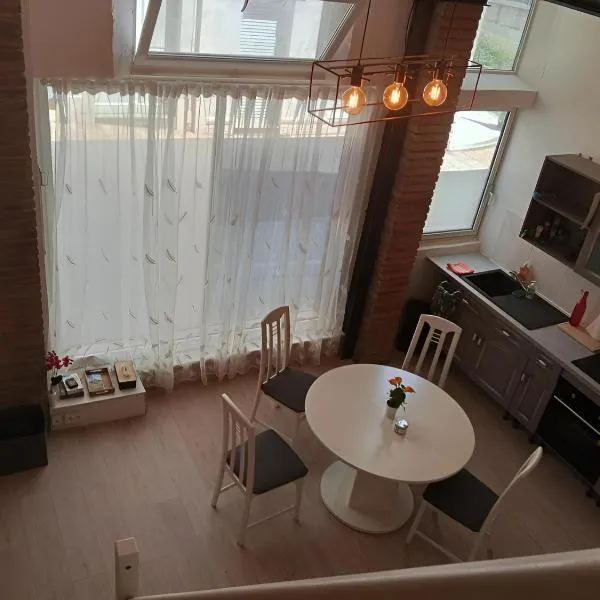 Appt climatisé, 4 à 6 couchages Tarn, Albi, Gaillac, Cordes, Wifi gratuit, boîte à clés, proche commodités et gare routière, hotel in Graulhet