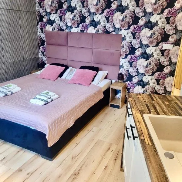 Apartament w sercu Elbląga, ξενοδοχείο σε Έλμπλαγκ