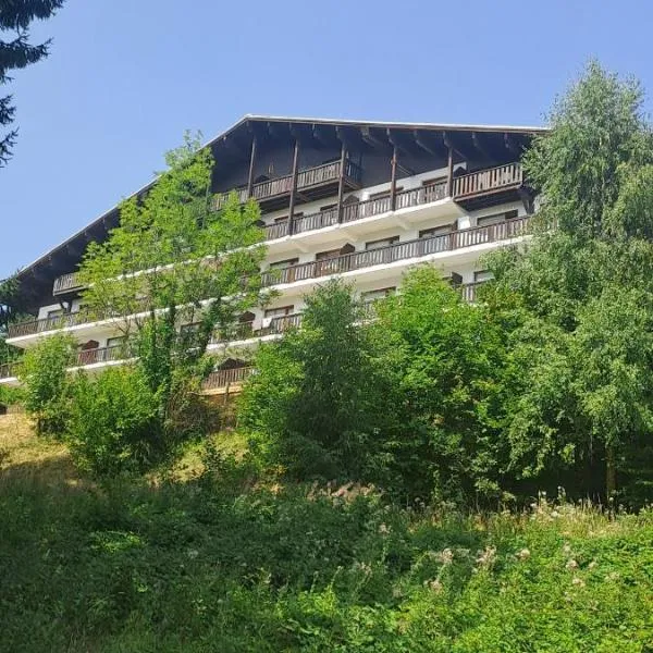 AP-37 La Grande Cordée Combloux, hotel Combloux-ban