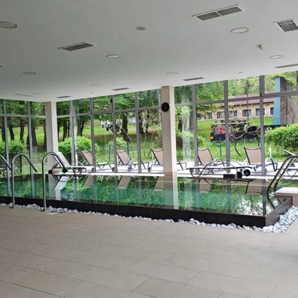 Arsenal Park Transilvania, מלון באורשטיה