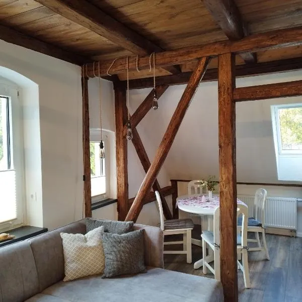 Ferienhaus hERZgebirge, hotelli kohteessa Bockau