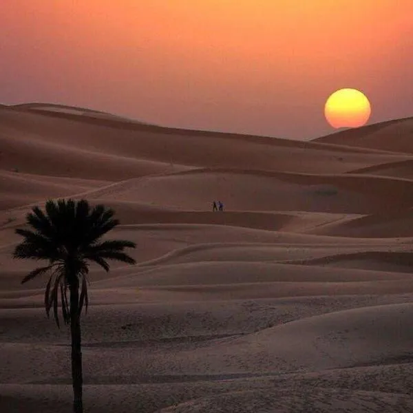 berber sahara，位于扎古拉的酒店