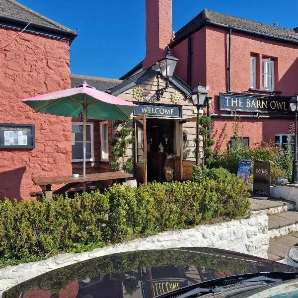 Barn Owl Inn, Hotel in Newton Abbot