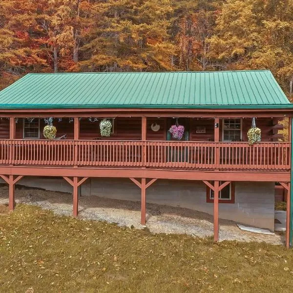 Secluded Cabin, Outdoor Sauna, Hot Tub, Geo DOME, Game Rm, EV, BBQ, hotel in Logan