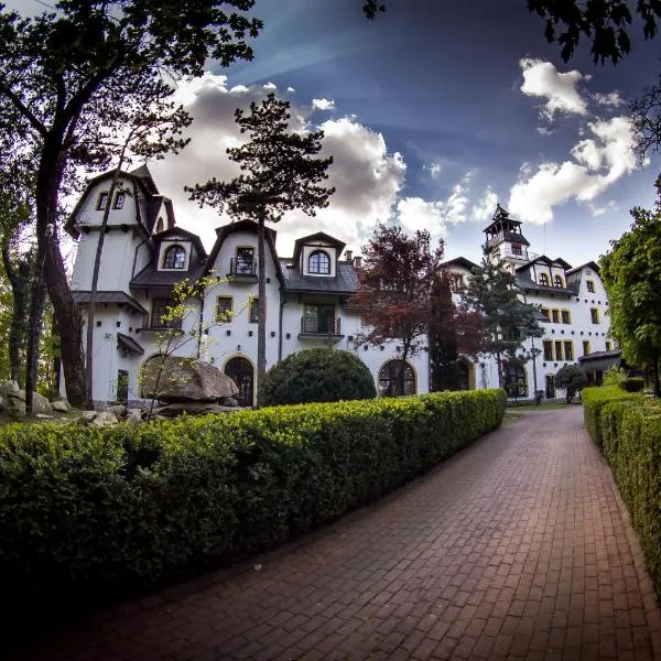 Hotel Maria, hotel in Strzelin