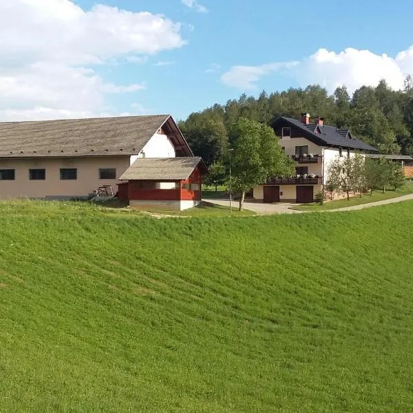 Apartment Vrtacnik, hotel en Štefanja Gora