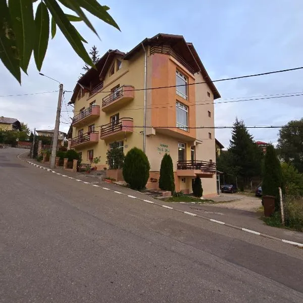 Pensiunea Valea Alba，位于布什泰尼的酒店