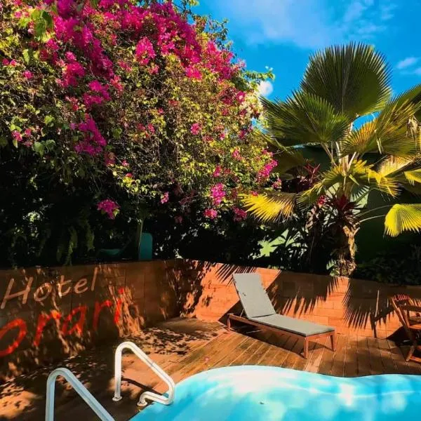 Alter do Chao में, होटल Hotel Borari