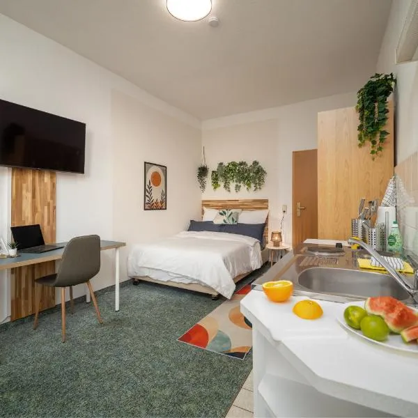 Ruhiges Studio in Altstadt mit Gartenblick & Sofa，弗賴貝格的飯店