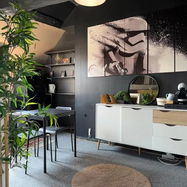 Studio Star Wars, ξενοδοχείο σε Condé-Sainte-Libiaire