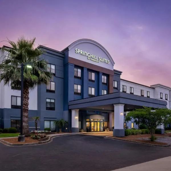 SpringHill Suites by Marriott Charleston North, hotel in Charleston