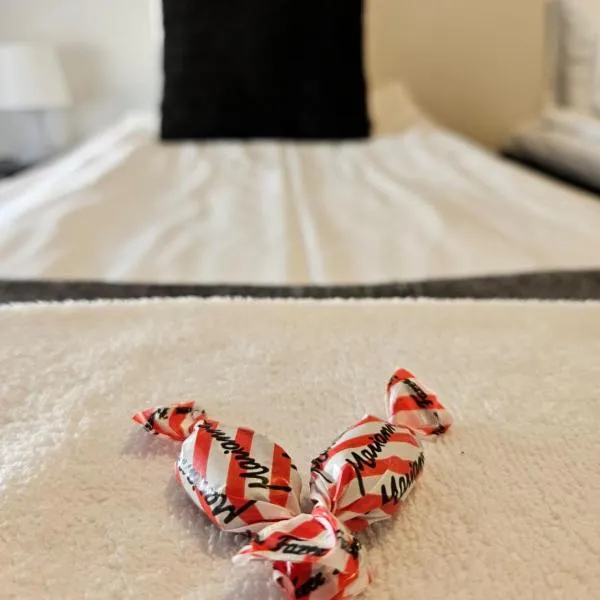 Cozy Apartment with Sauna near City Center、トゥルクのホテル