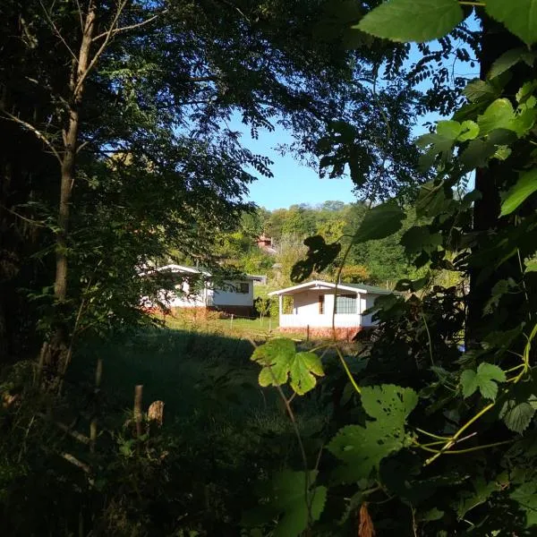 Căsuțele bucuriei, מלון בPucioasa