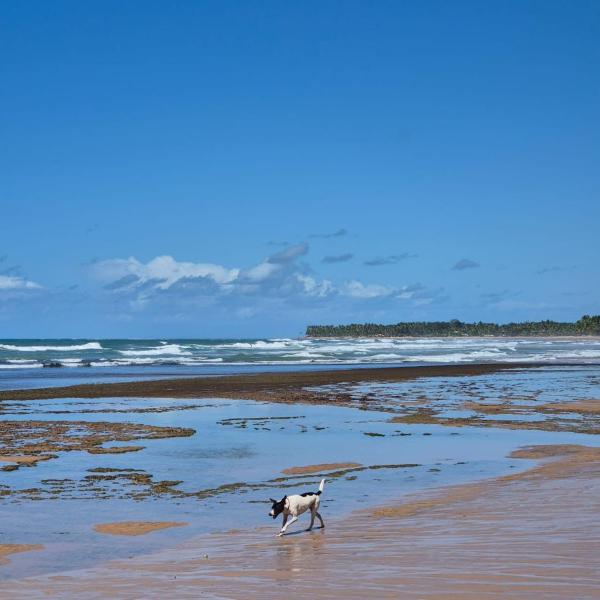 Casa Estrela do Mar - Foto 4