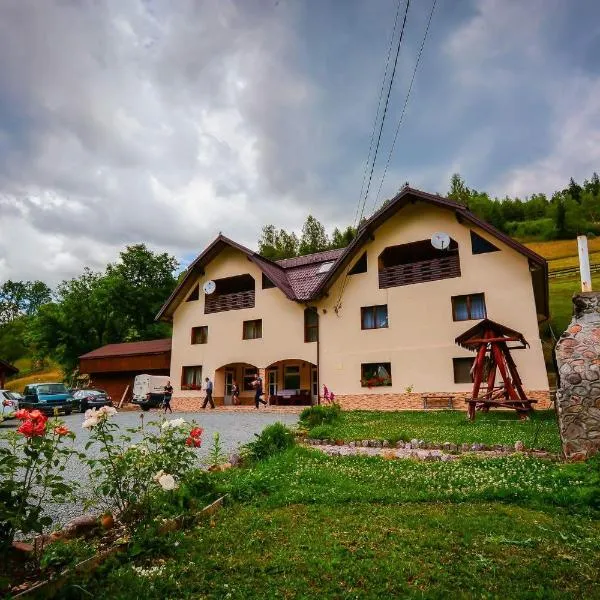 Pensiune Agroturistică Casa Alex, hotel v destinaci Baba