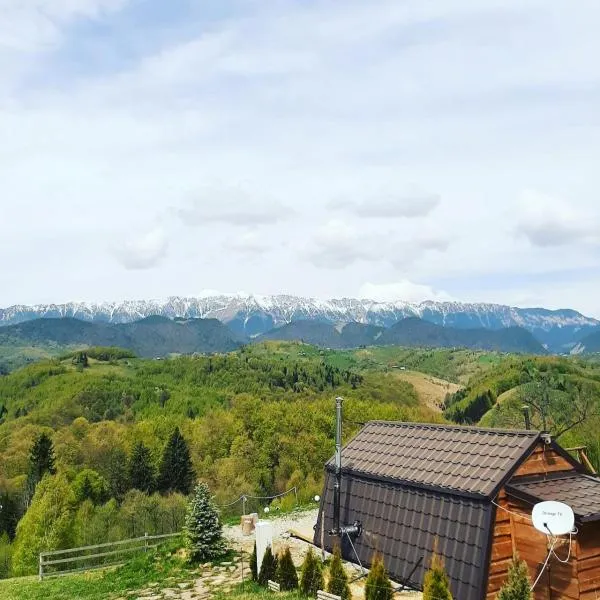 Cabanuta din munti, hotel i Moieciu de Jos