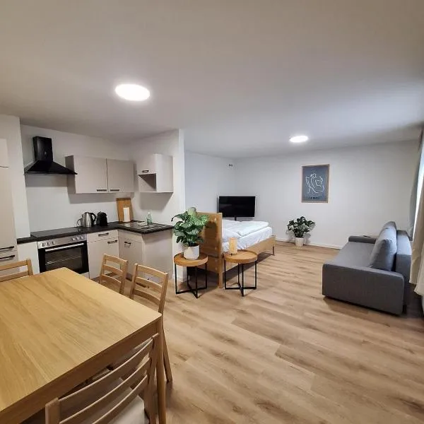 City Apartment，位于施泰尔的酒店