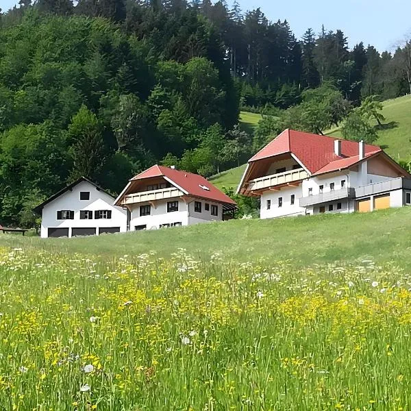 Stinneshof, hotel in Oberharmersbach