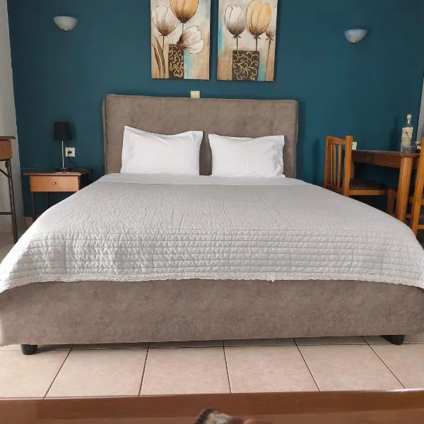Zisis Garden Studios, hotel en Ioánina