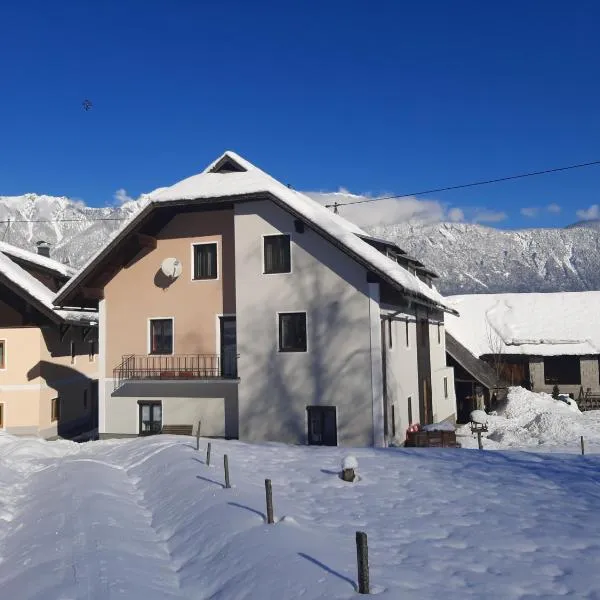 Haus Nampolach, hotel u gradu Latschach