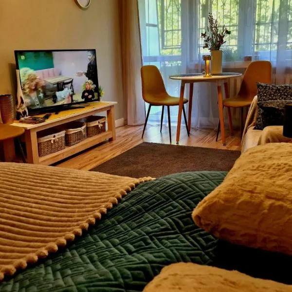 Apartament Wapienna, hotel in Łódź