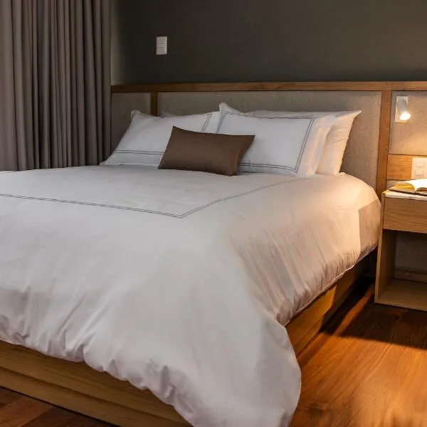 S22 Hotel & Suites, hotel in San Luis Potosí
