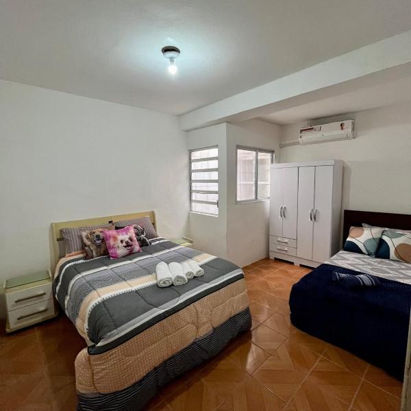 Casa Buarque de Macêdo 494 - Foto 2