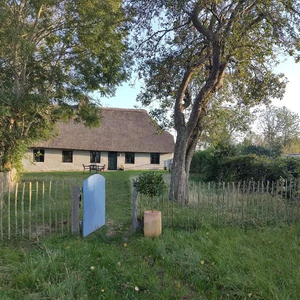 Alte Schmiede, hotel in Witzwort