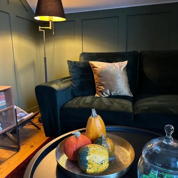 Carpathian Loft with Private Parking, hotel in Odorheiu Secuiesc