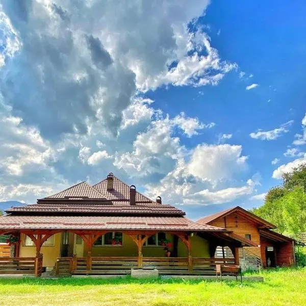 Premium mountain view chalet, hotel in Borşa