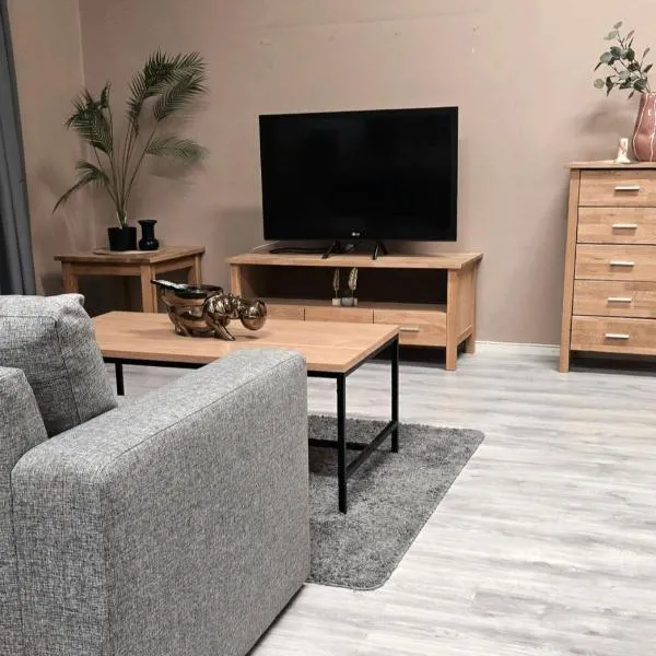 Loft- huoneisto matkustajasatamassa, hotel in Savonlinna