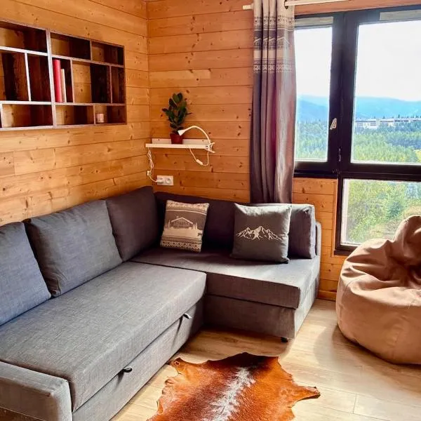Magnifique studio à 250 mètres des pistes avec tout inclus – hotel w mieście Bolquere Pyrenees 2000