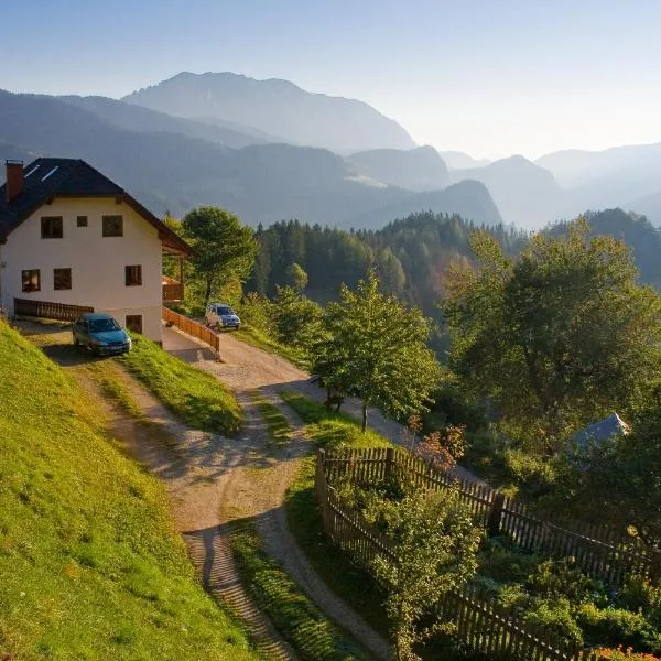 Turistična kmetija Perk, hotel en Solčava