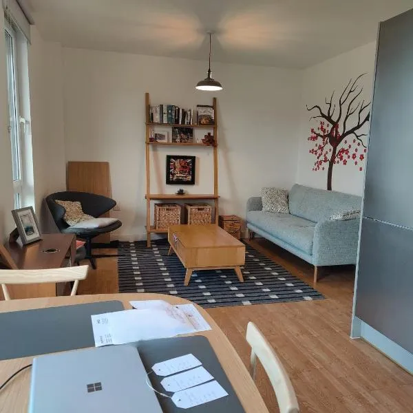 Homely Spacious 3 bedrooms duplex with roof-top next to Victoria Park & regent's canal in vibrant East End London, hotel in London