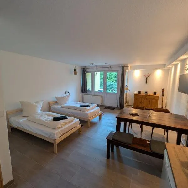 Eigenes ruhiges Appartement mit Küche und Terasse Chemnitz, hotel in Chemnitz