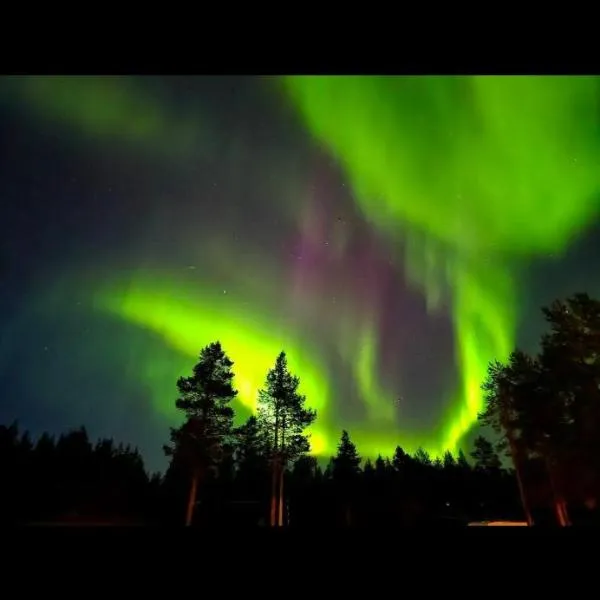 Tervetuloa nauttimhaan puhtaasta luonnosta Pelhoon, hotel in Saukkooja