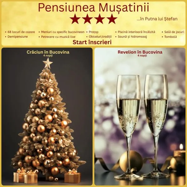 Pensiunea Mușatinii, ξενοδοχείο σε Putna