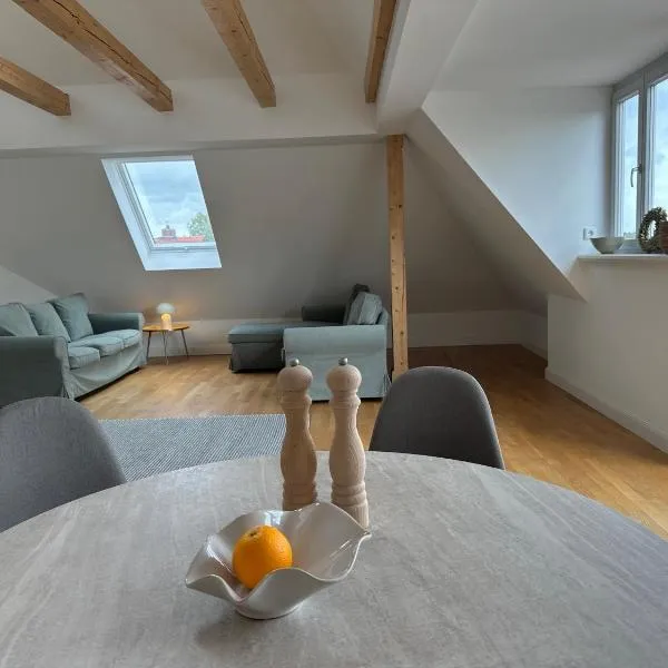 Dr. Bockemüller Appartements, hotel in Sickte