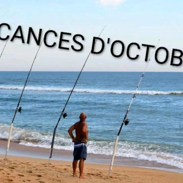 Les Pieds Dans L'eau Accés direct à la plage, hotel di La Cotinière