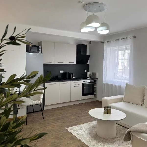 Livvalu Apartments，位于林茨的酒店