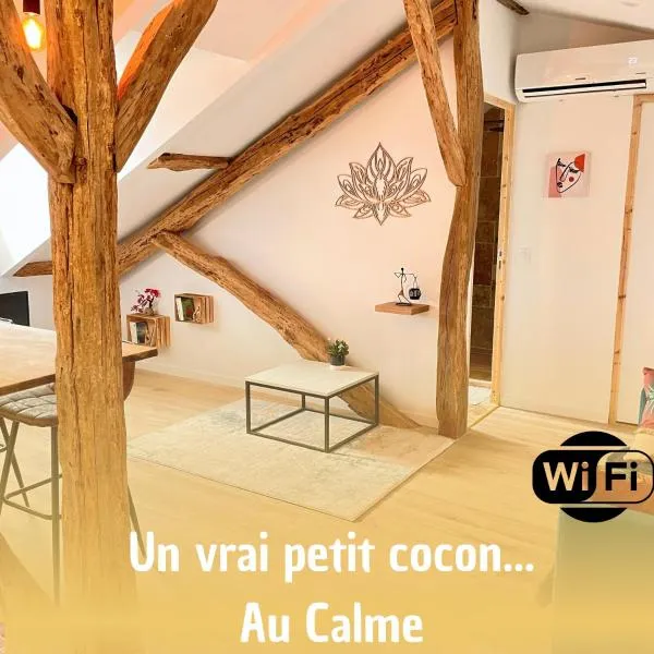 Victor Hugo - Petit cocon au calme - 2ème etage, hotel v destinácii Auch