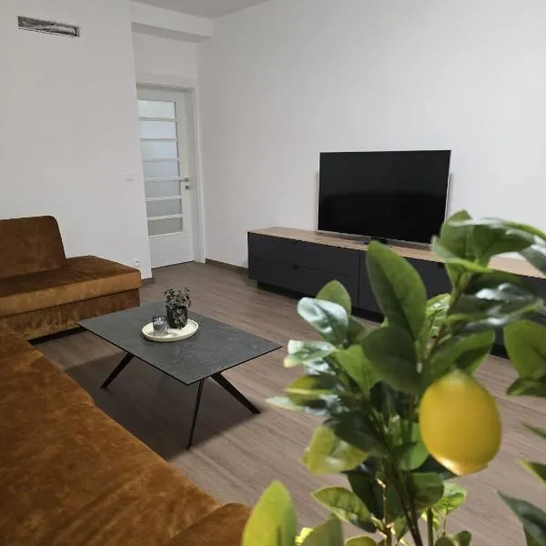 365 apartmány PARK、ピエシュチャニのホテル