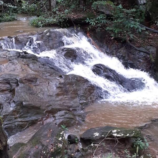 Santuário Calango