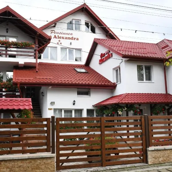 Pensiunea Casa Alexandra, hotel in Vatra Dornei