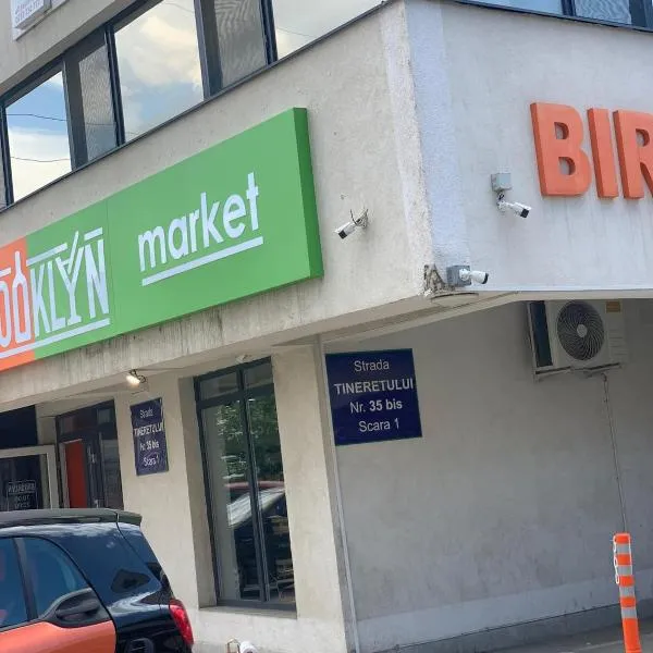apartament 1 camera, хотел в Roşu