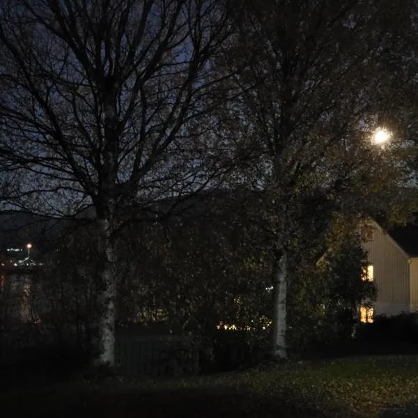 House with terrace and a big garden in centrum of Lyngseidet, hotel in Lyngseidet