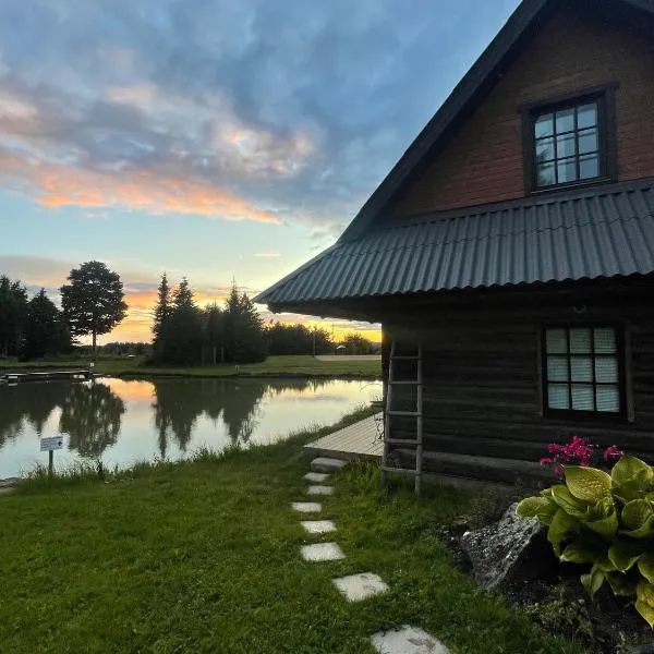 Loghouse by the lake, hotel a Viljandi