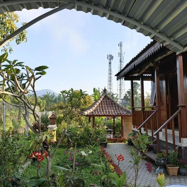 Pondok DG Spa and Homestay, Hotel in Munduk